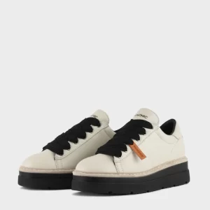 Colors Of California Camoscio art. HC.YWPLA07